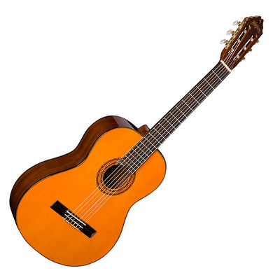Washburn C5 and C5CE