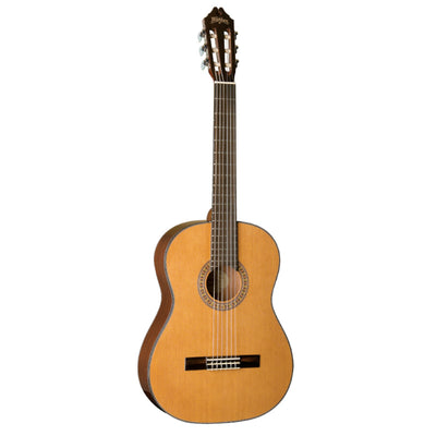 Washburn C40-A