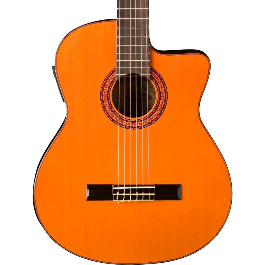 Washburn C5 and C5CE