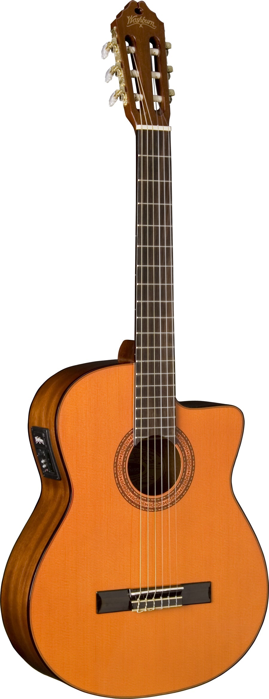Washburn C5 and C5CE